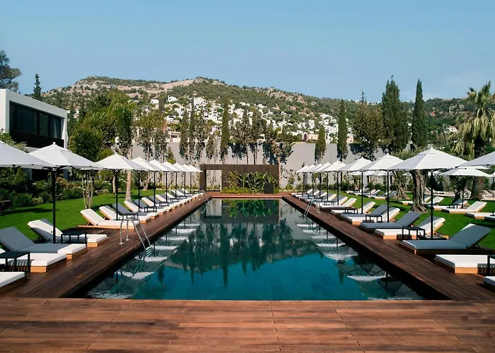 Caja By Maxx Royal 4*