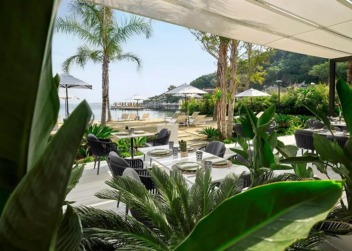 Caja By Maxx Royal 4*