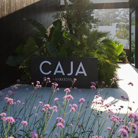 Caja By Maxx Royal