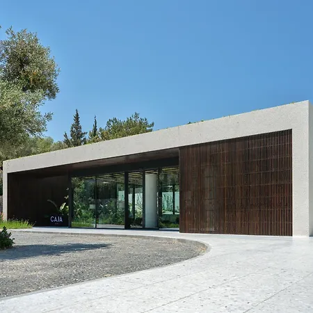 Caja By Maxx Royal 4*