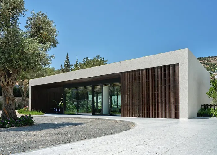 Caja By Maxx Royal 4*